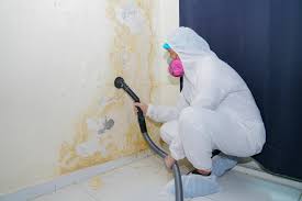 Best Commercial Mold Inspection  in Manhasset, NY